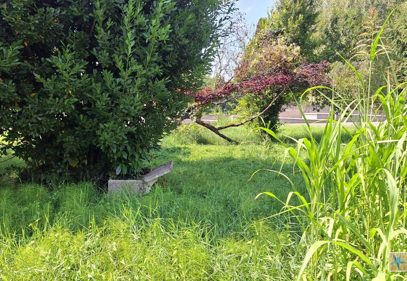 030_Driolassa