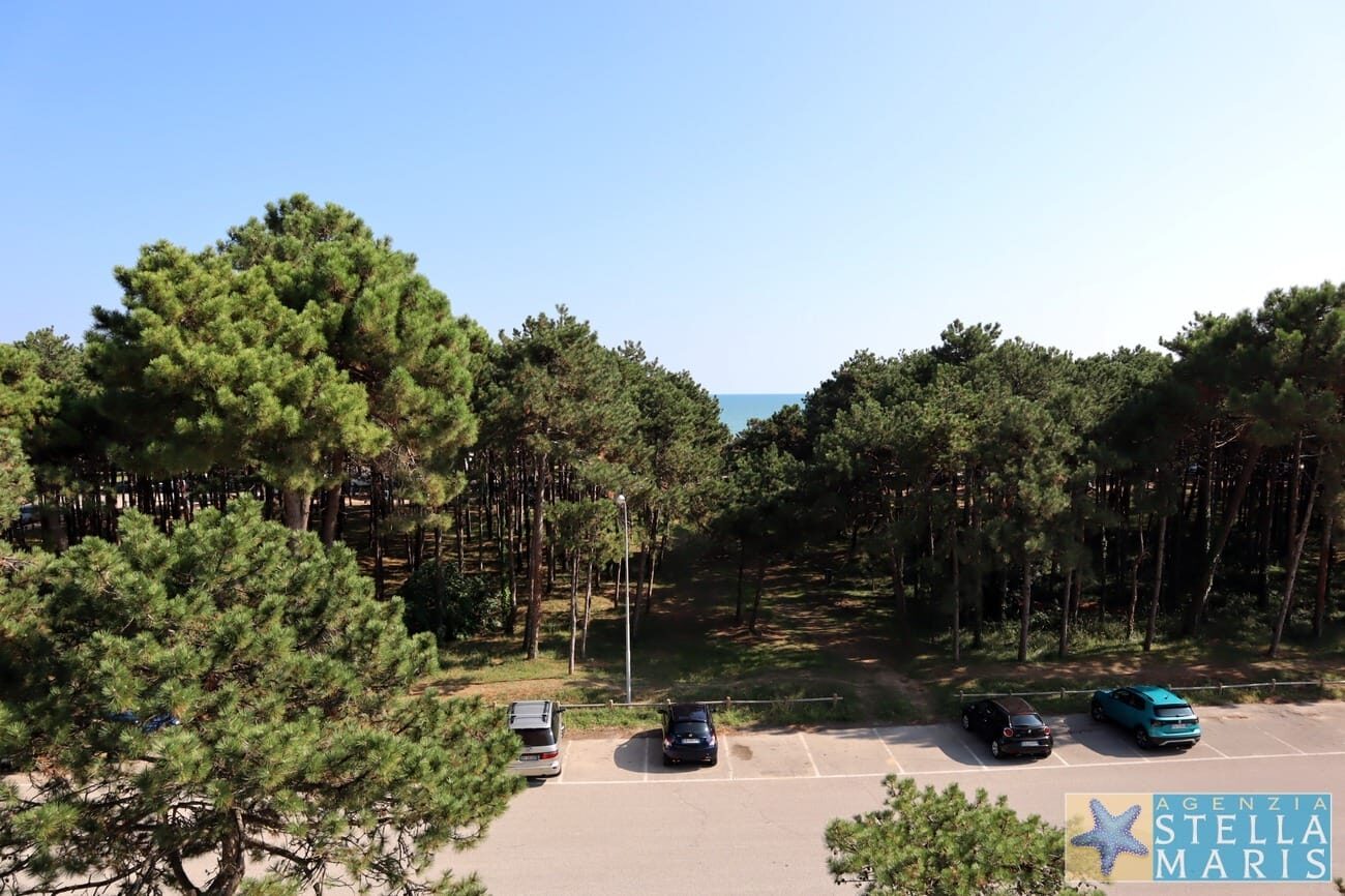 Ariston Palace 7 - Lignano Pineta