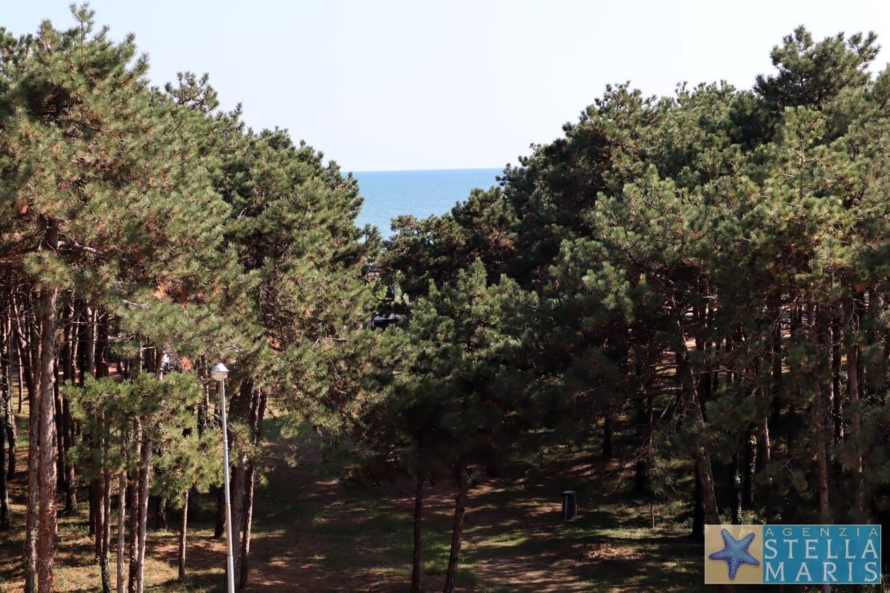 Ariston Palace 7 - Lignano Pineta